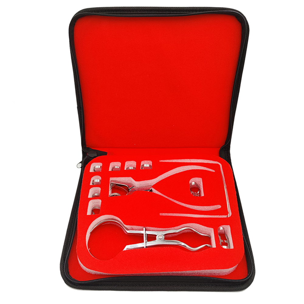 Leatherwork Tool Kit - Zestaw dziurkaczy stomatologicznych ze szczypcami do